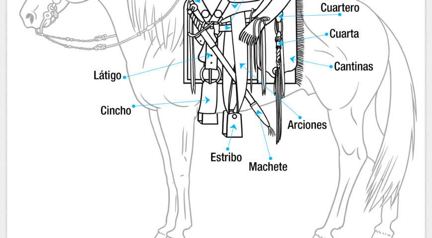 Partes de la montura (Lado de Montar)