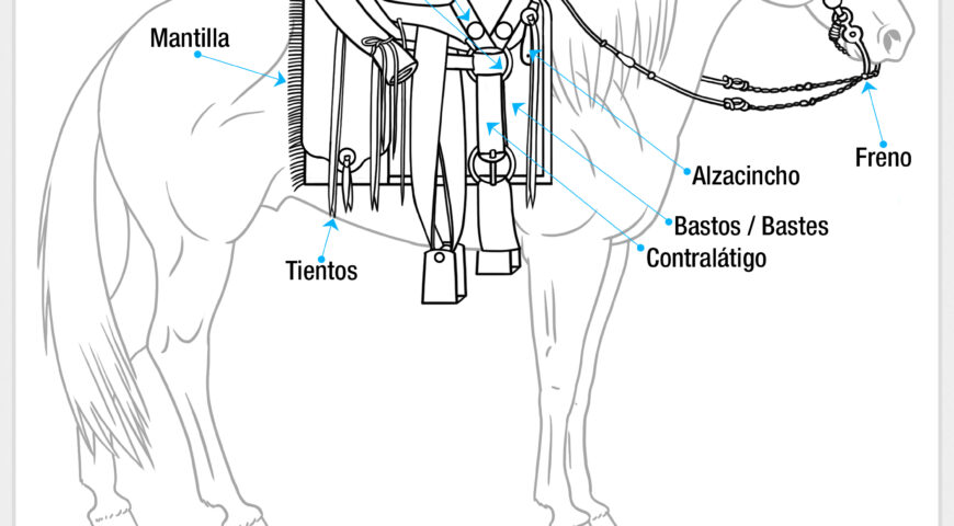 Partes de la montura (Lado de la garrocha, lanza o vara)
