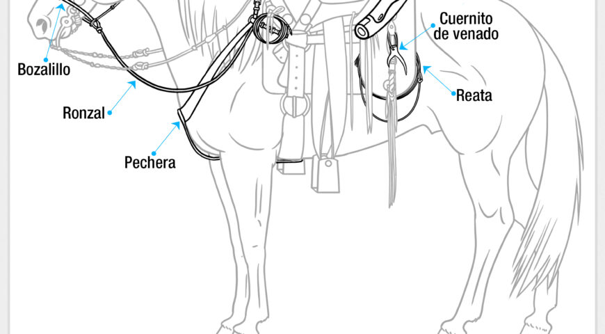 Partes de la montura (otros arreos)