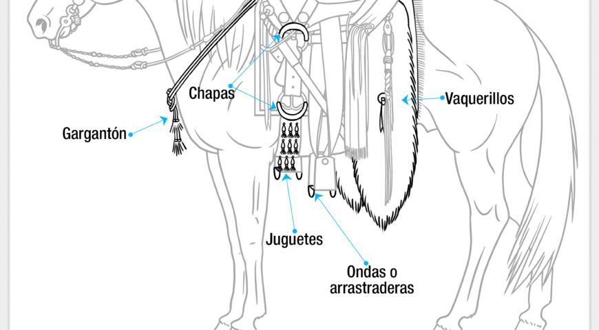Partes de la montura (otros arreos)