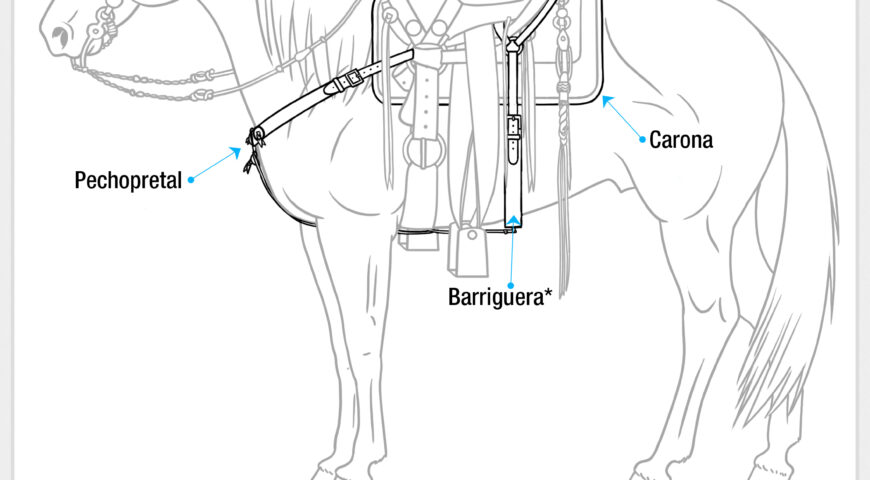 Partes de la montura (otros arreos)