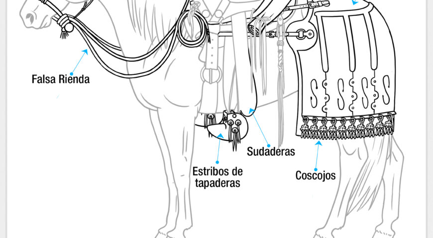 Partes de la montura (otros arreos)