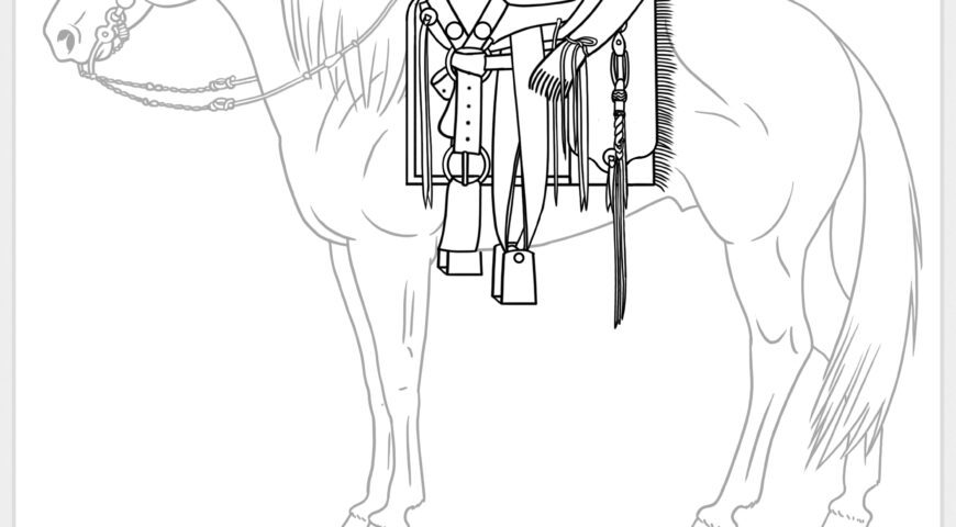 Silla de cantinas cuadradas