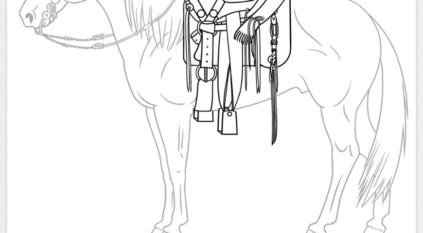 Silla de cantinas cuadradas