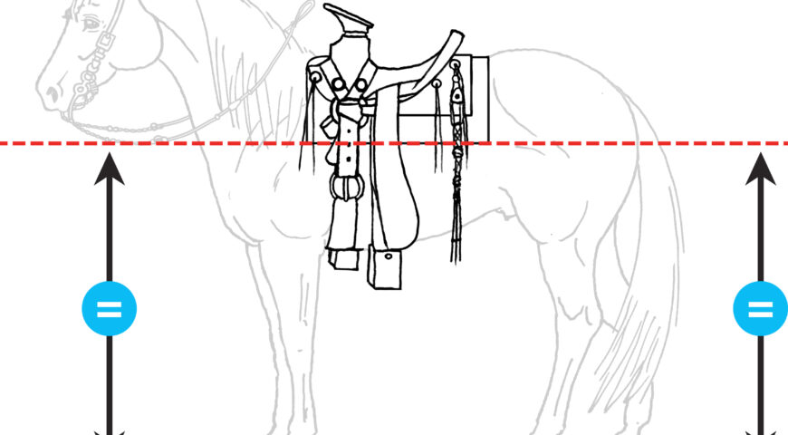 Líneas paralelas en las sillas de cantinas y bastos cuadrados