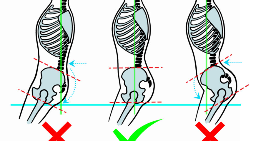 Manera correcta de sentarse en el fuste y cómo colocar la cadera