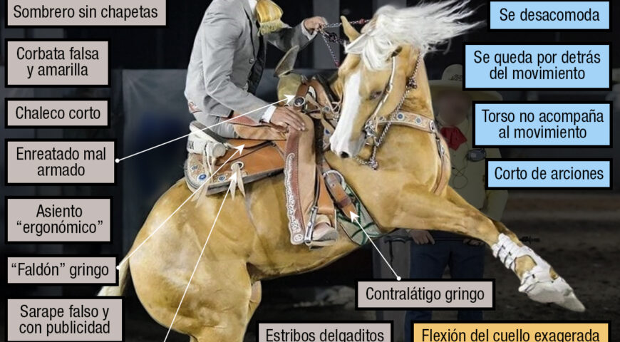 Los medios lados…¿Medio malos?