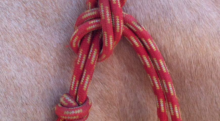 Cómo se hace el nudo de la jáquima de nudos