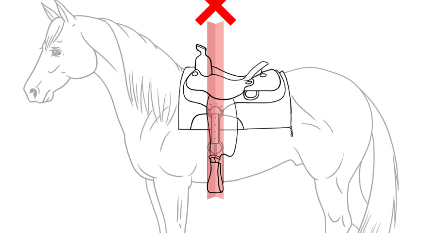 Alineación de cincho, argollas y horqueta del fuste