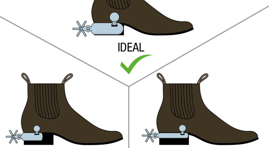 Dimensiones de la caja de la espuela