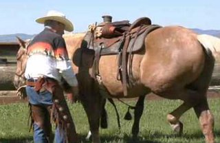 Alineación de cincho, argollas y horqueta del fuste