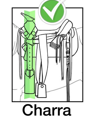 Alineación de cincho, argollas y horqueta del fuste