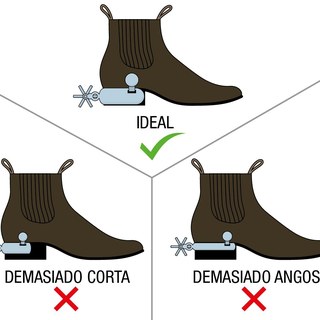 Dimensiones de la caja de la espuela