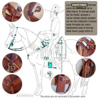 El chapetón en la silla charra
