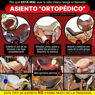 La cuadrilera en la silla charra
