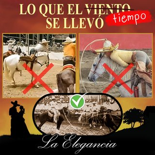 Lo que el tiempo se llevó...La elegancia