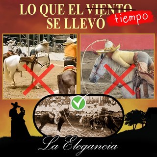 Lo que el tiempo se llevó...   La elegancia