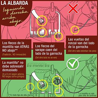 Errores en la albarda