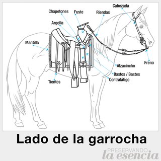 Lado de la garrocha