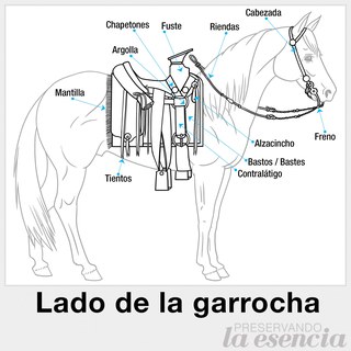 Partes de la montura (Lado de la garrocha, lanza o vara)