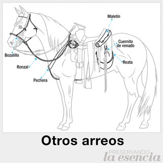 Arreos de la silla charra