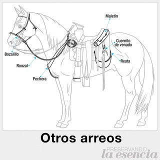 Partes de la montura (otros arreos)