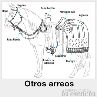 Partes de la montura (otros arreos)