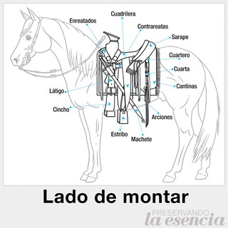 Partes de la montura (Lado de Montar)