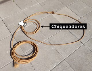 Partes de la reata