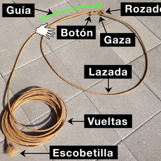 Partes de la reata