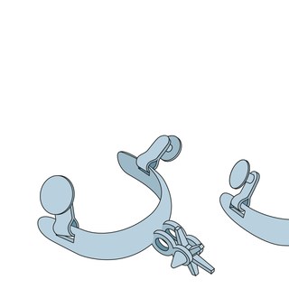 Partes de las espuelas