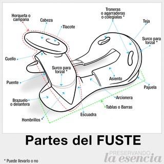 Partes del fuste