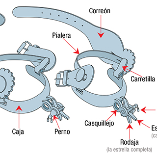Partes de la espuela