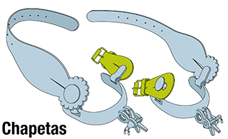 Partes espuela