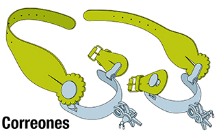 Partes espuela