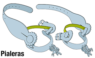 Partes espuela