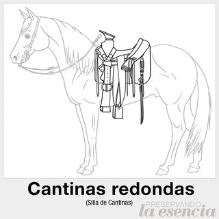 Cantinas redondas