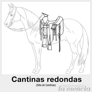 Silla de cantinas redondas