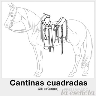 Silla de cantinas cuadradas