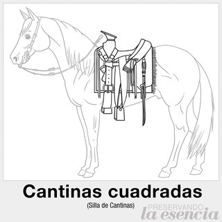 Silla de cantinas redondas