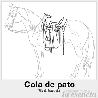 Cola de pato