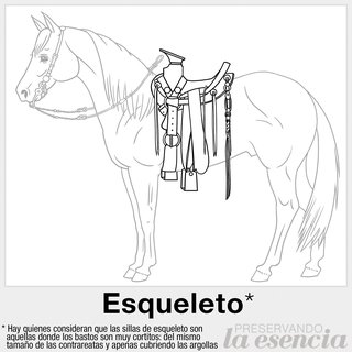 Silla de esqueleto