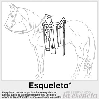Silla de Esqueleto