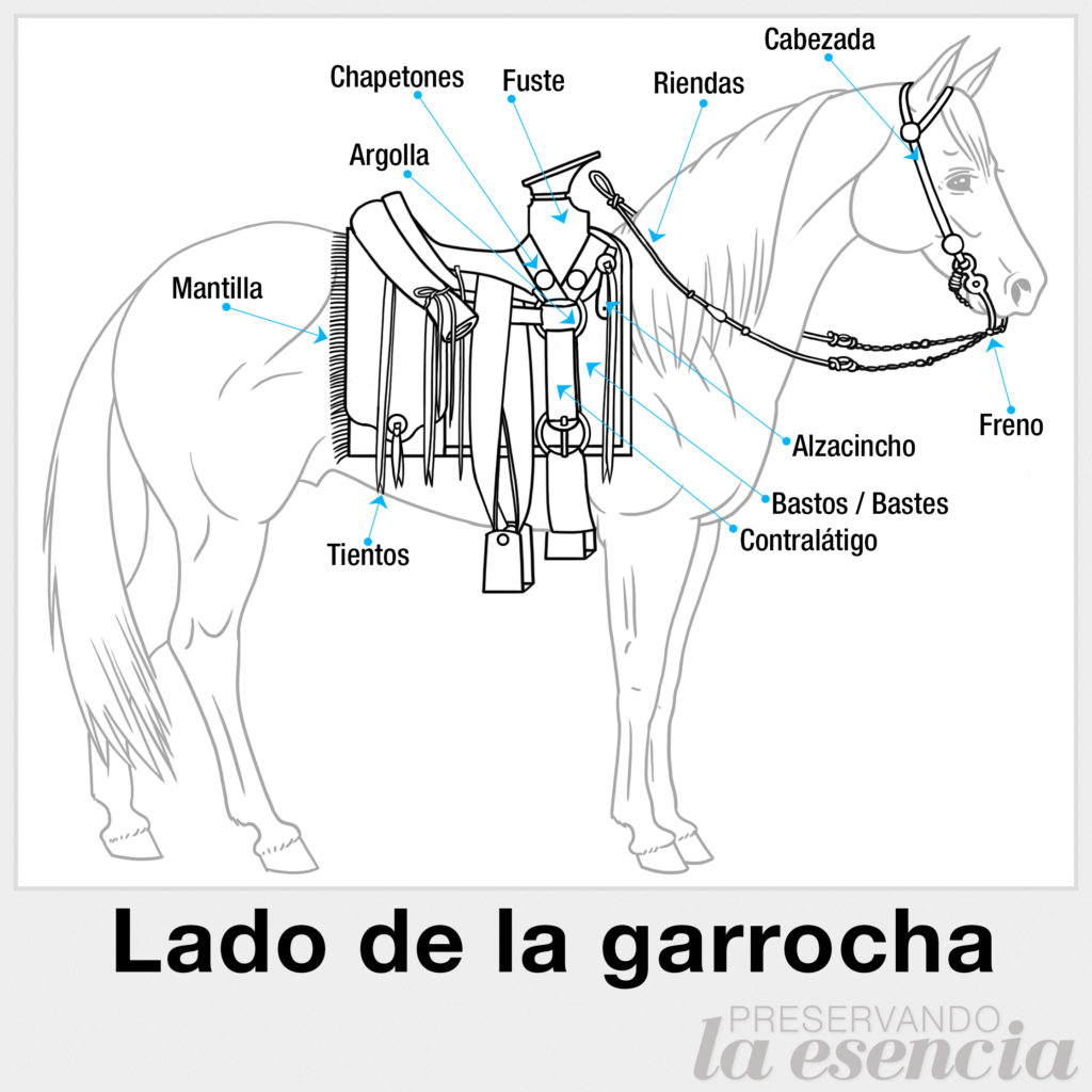 Lado de la garrocha
