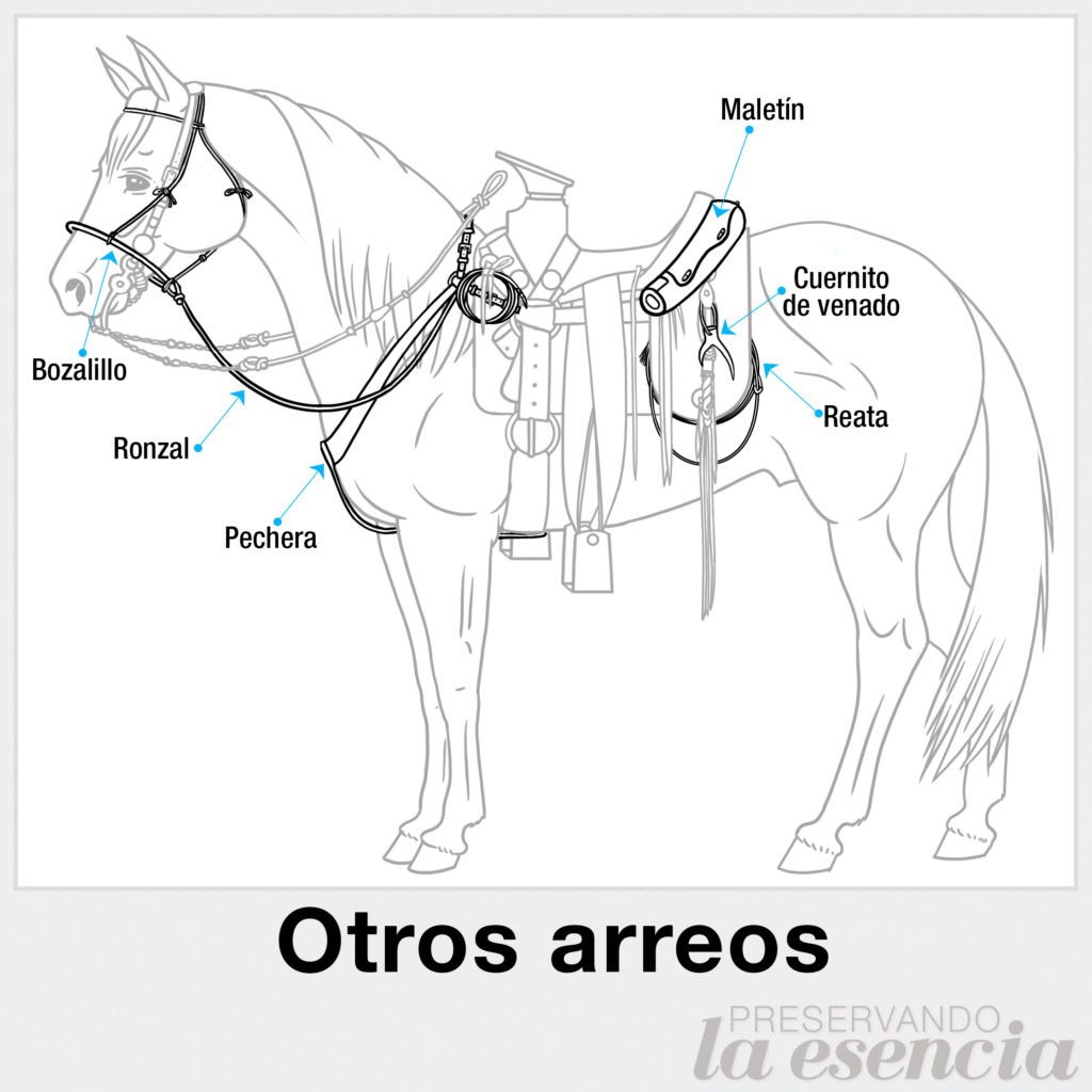 Arreos de la silla charra