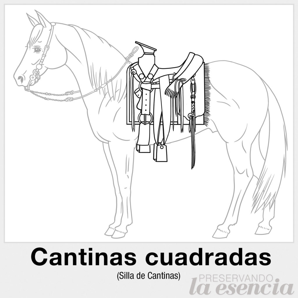 Silla de cantinas cuadradas