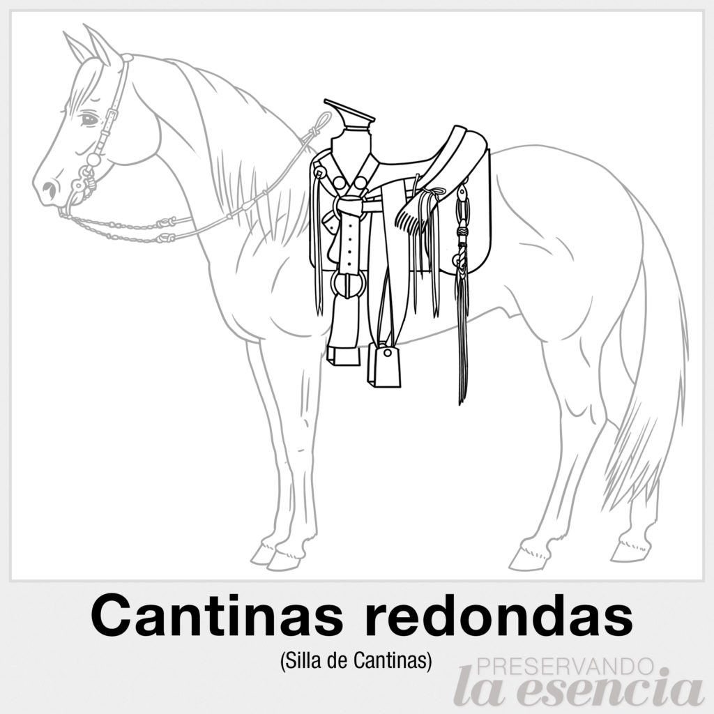 Cantinas redondas