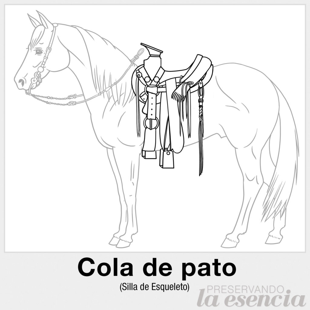 Cola de pato