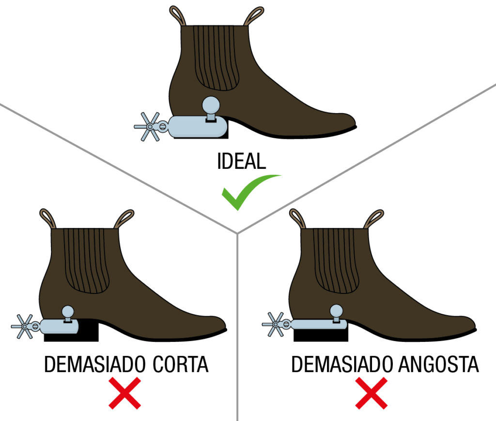 Ancho y largo ideal de las espuelas