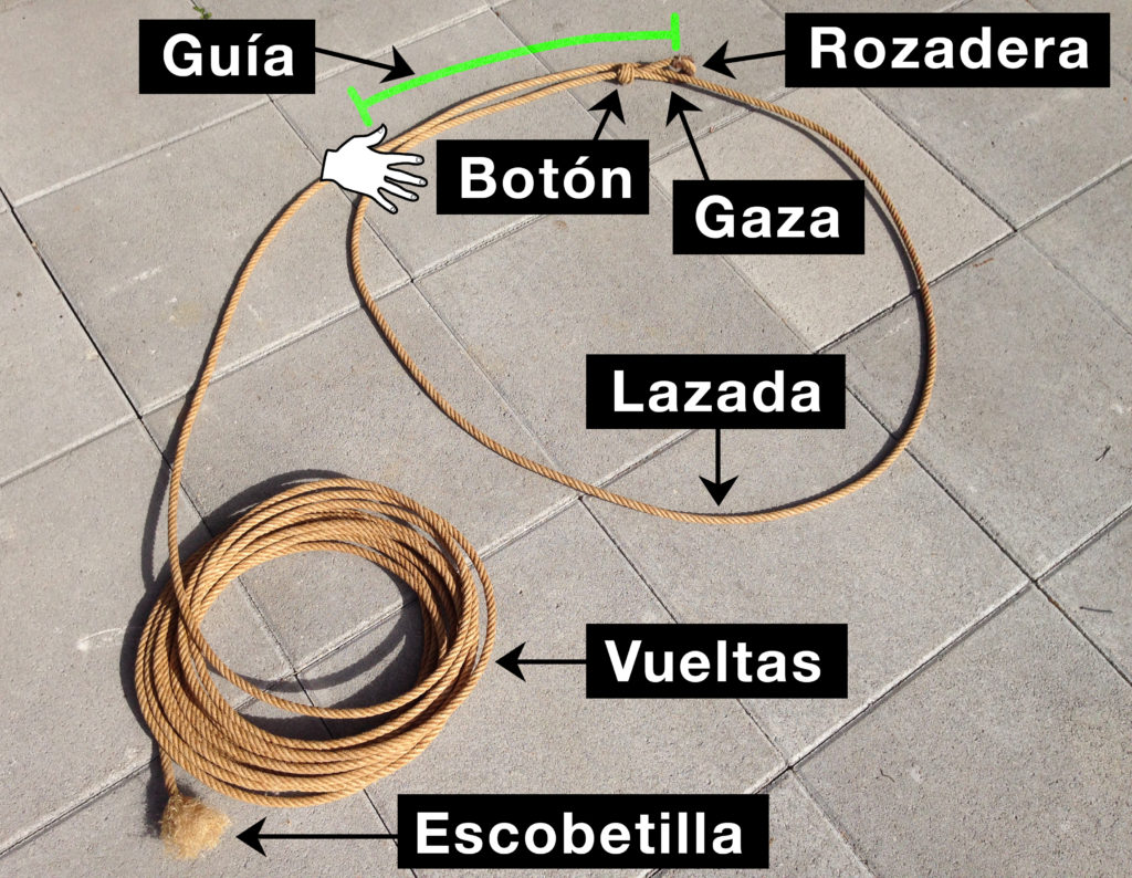 Partes de la reata